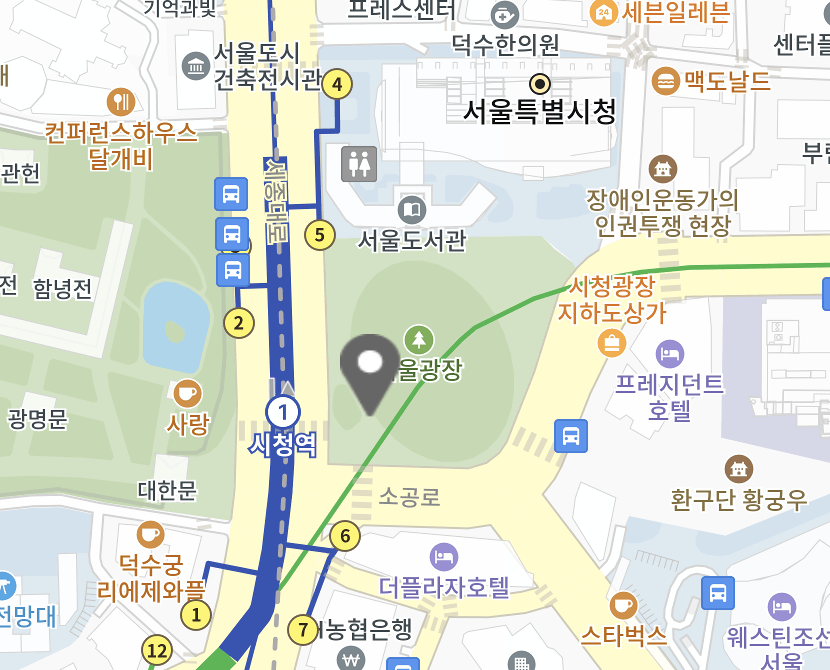 서울광장 스케이트장