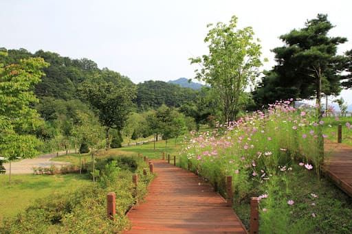 거창 가볼만한 숨은명소 거창 여행코스