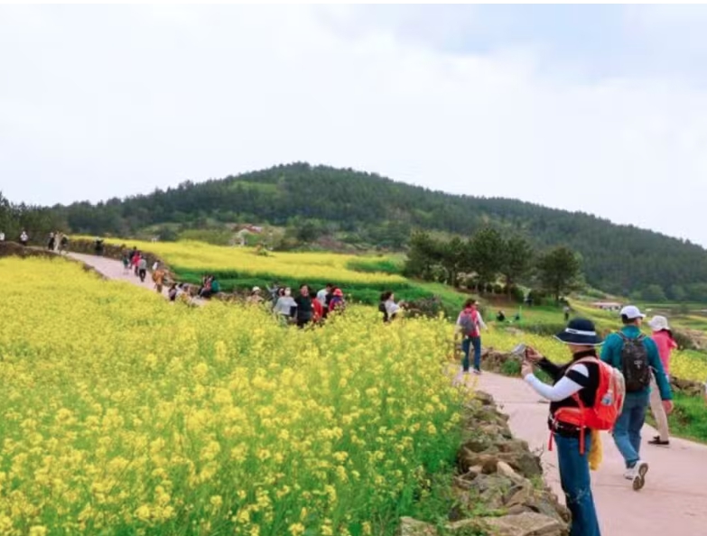 완도군 청산도 슬로걷기축제 1