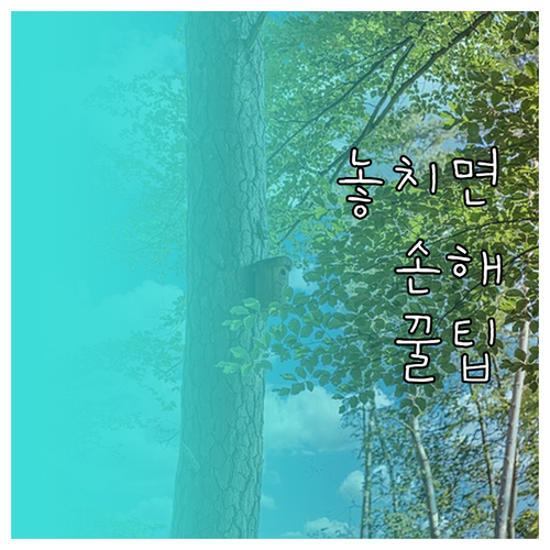 2024 독감 무료 예방접종 대상 기..