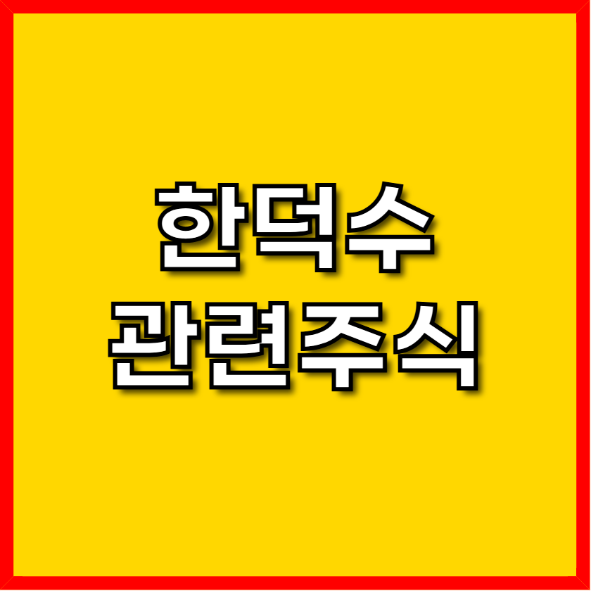 한덕수 관련 주식