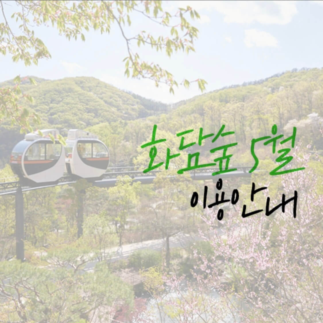 화담숲 모노레일