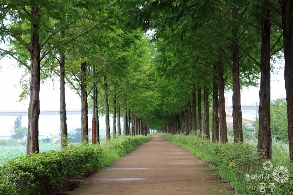 공주 가볼만한곳 베스트10