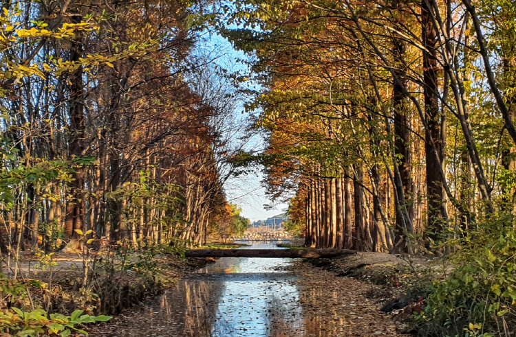경북천년숲정원