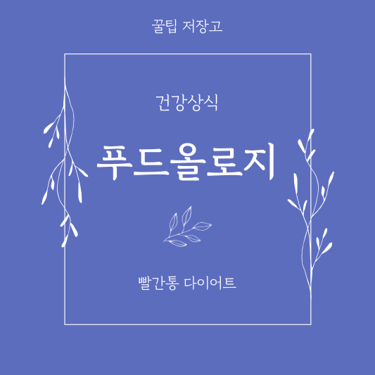 푸드올로지