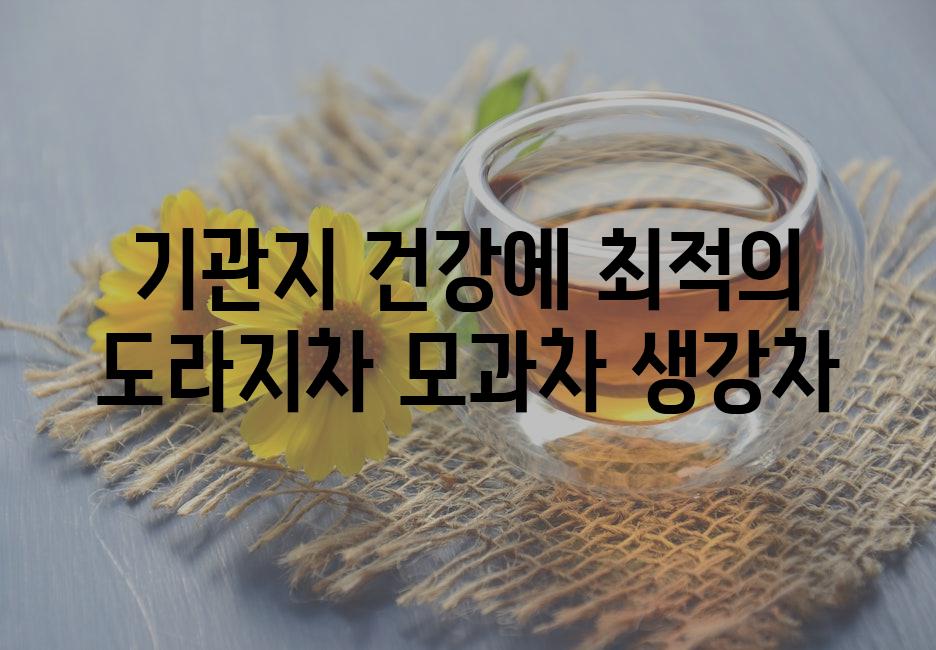 기관지 건강에 최적의 도라지차 모과차 생강차