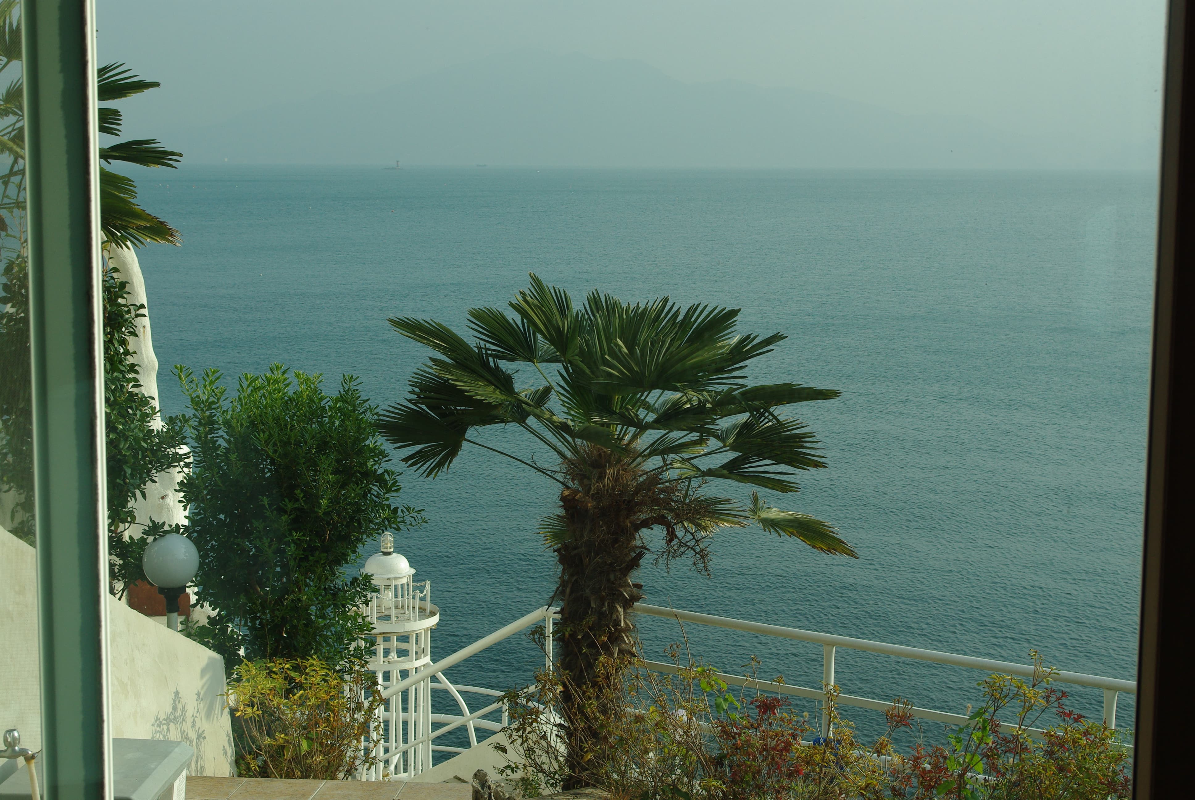 야자수가 있는 바다 풍경