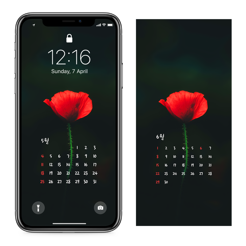 07 꽃양귀비 검정배경 AB - 2025년5월 아이폰달력배경화면