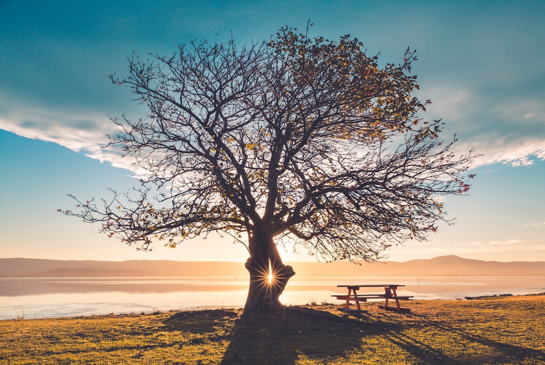 Sunlight Loan