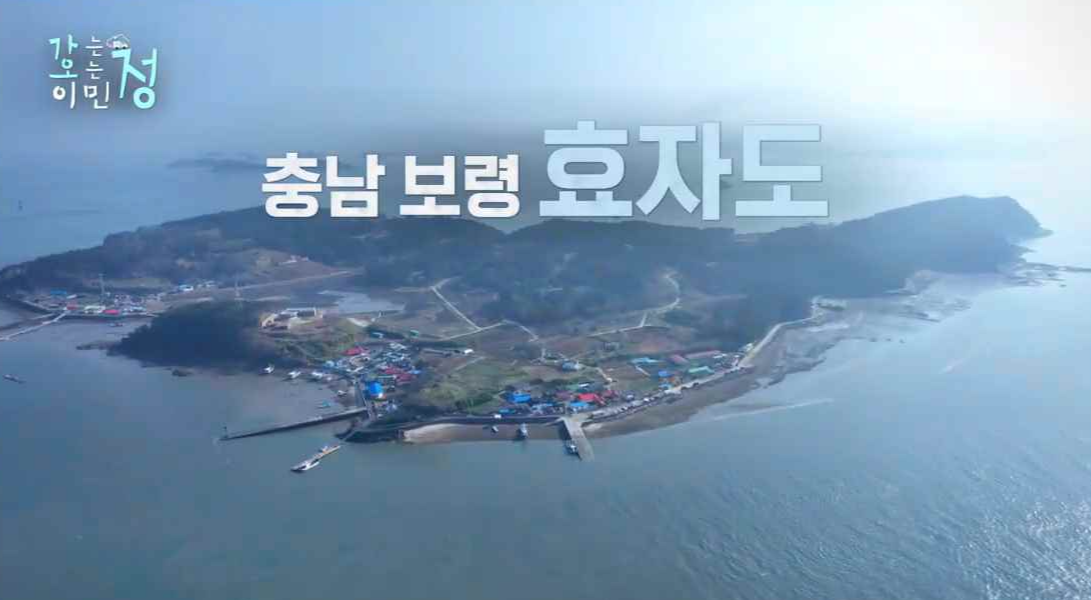 충남 보령 효자도 전체 모습을 하늘에서 본 장면 스틸컷