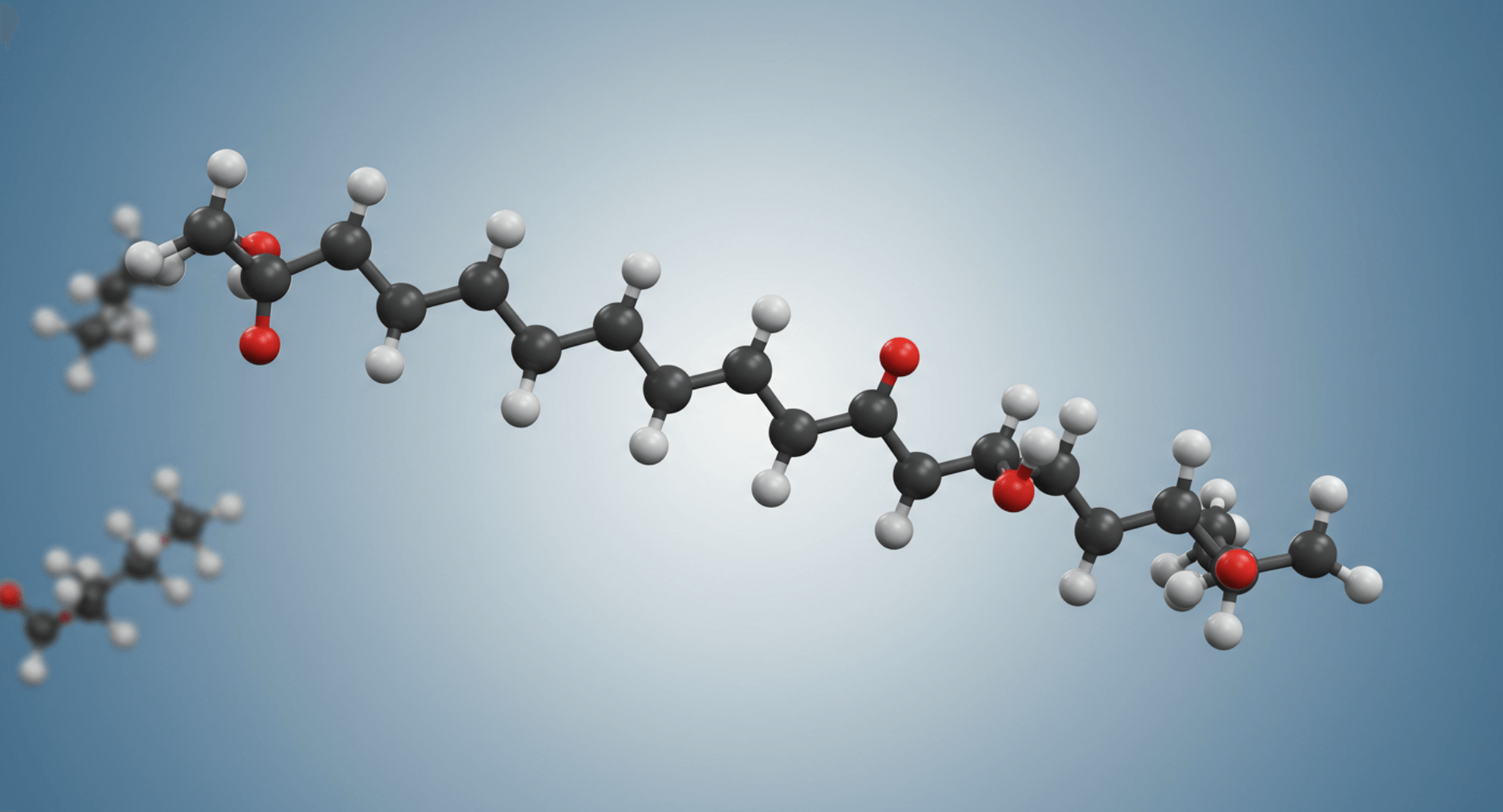 콘드로이친-효능-복용법
