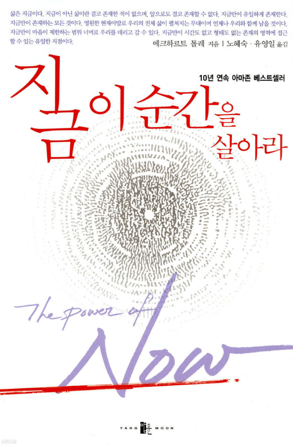 명상서적-에크하르트 톨레의 '지금 이 순간을 살아라'