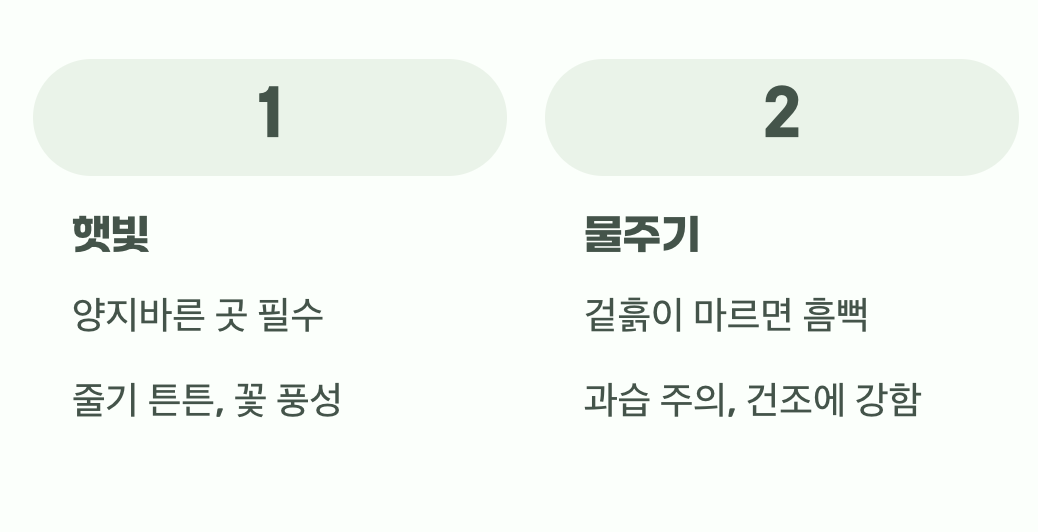 이 친구에게 꼭 필요한 두 가지