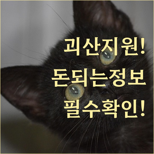 괴산군 소상공인 경영 지원 및 청년 ..