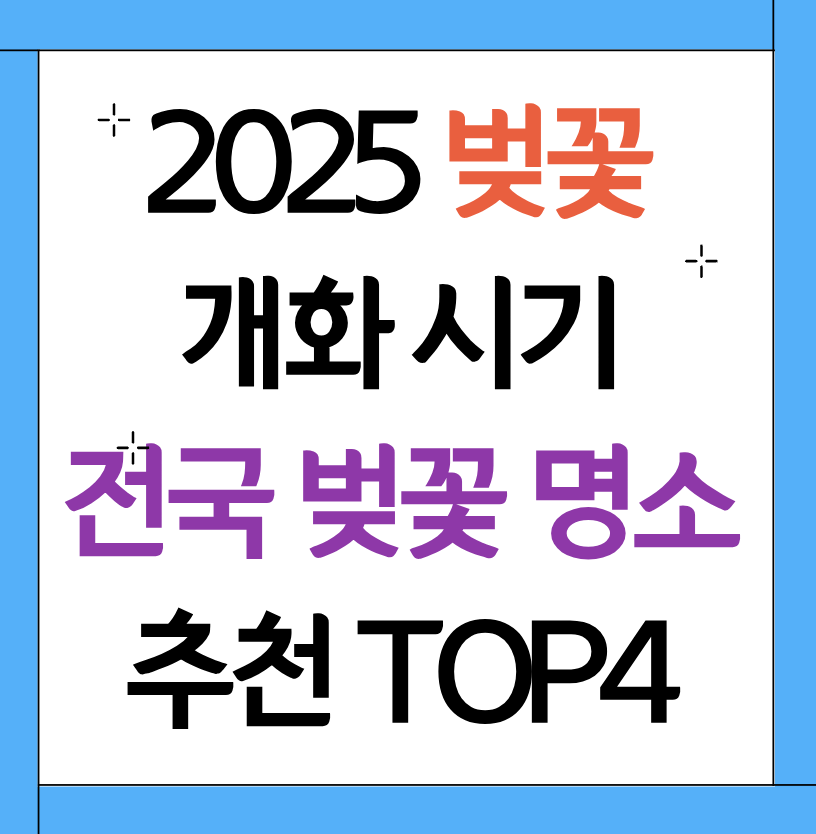 벚꽃 개화