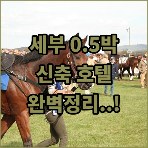 세부 0.5박 숙소 추천 IT 파크 ..