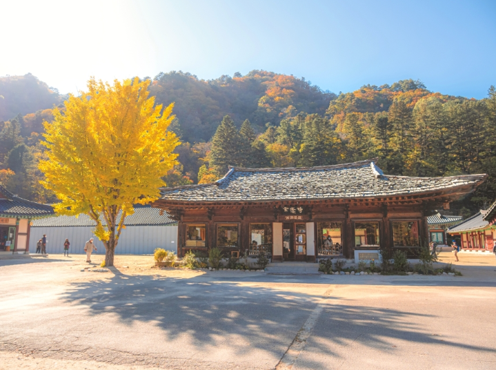 인제 백담사