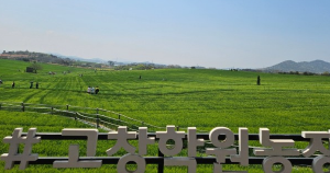 꼭 가야하는 축제 BEST 5곳