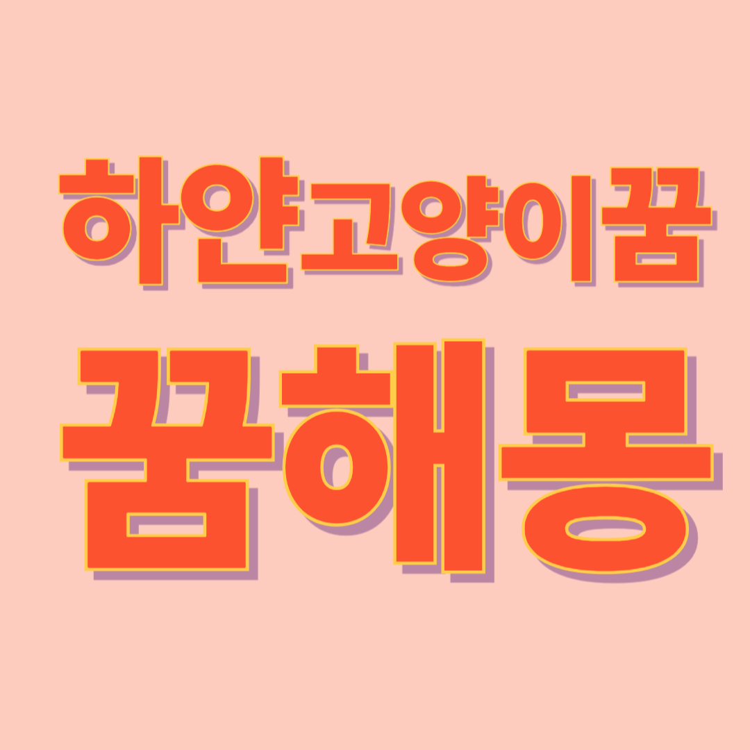 흰 고양이 꿈 해몽