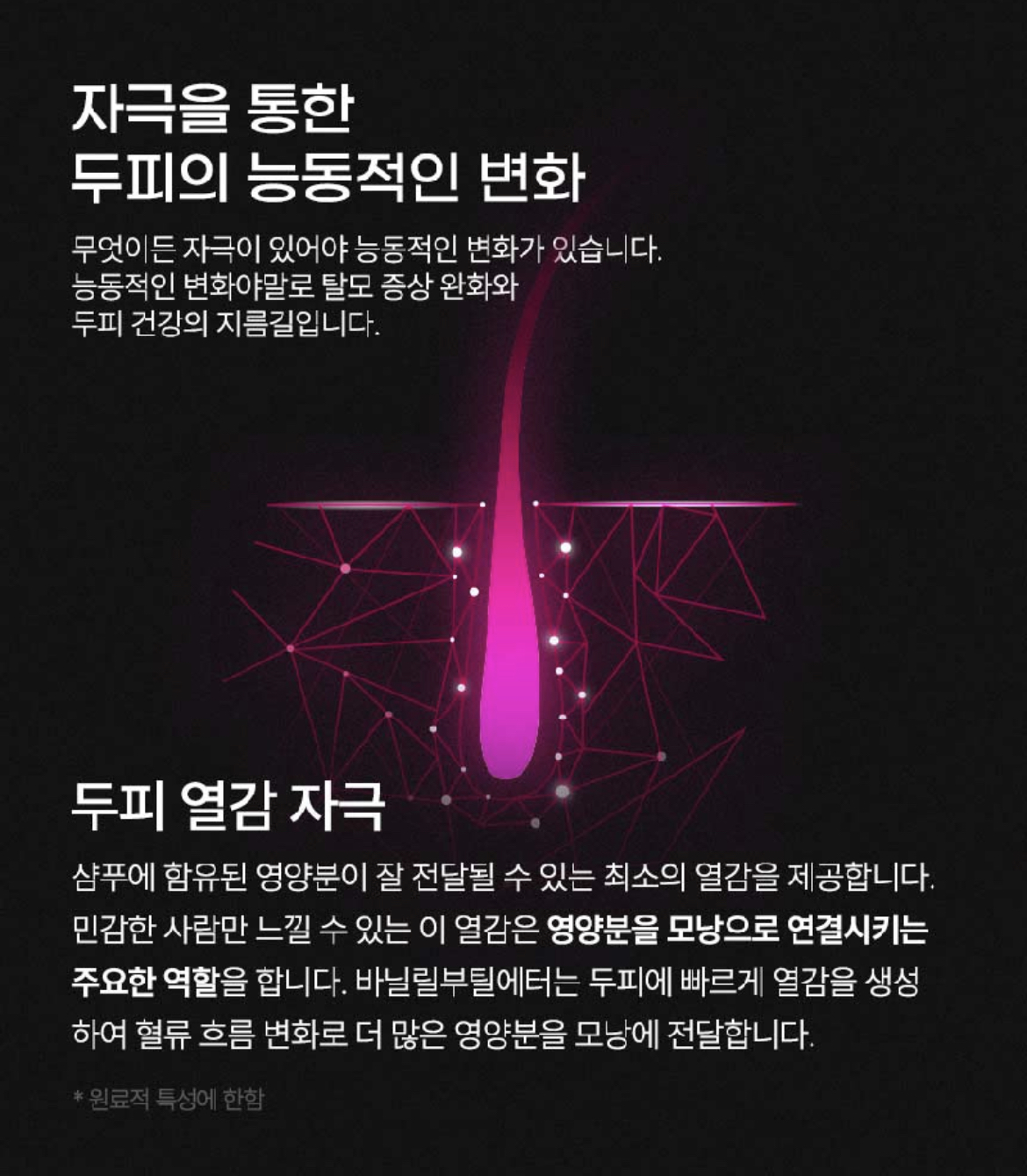 탈모샴푸
