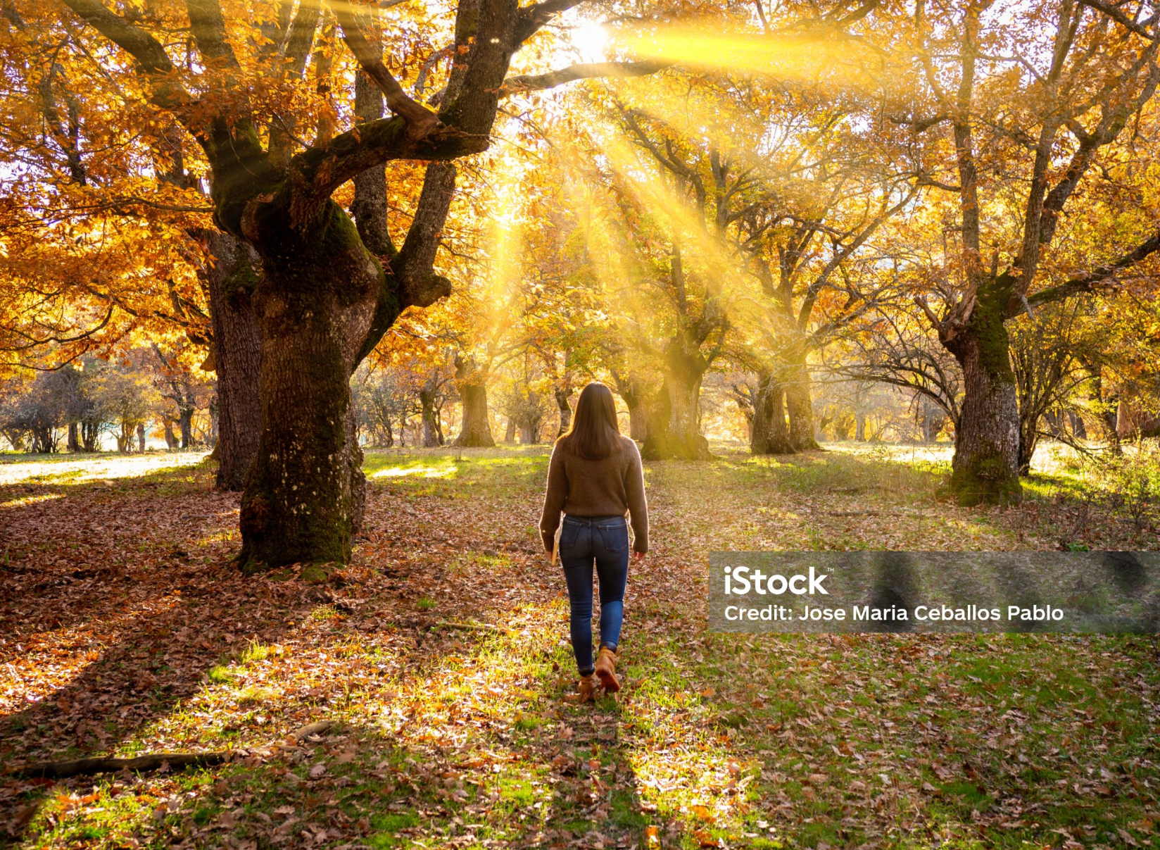 혈당관리에 도움되는 햇빛있는 길 걷기