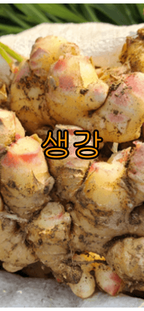 생강 효능