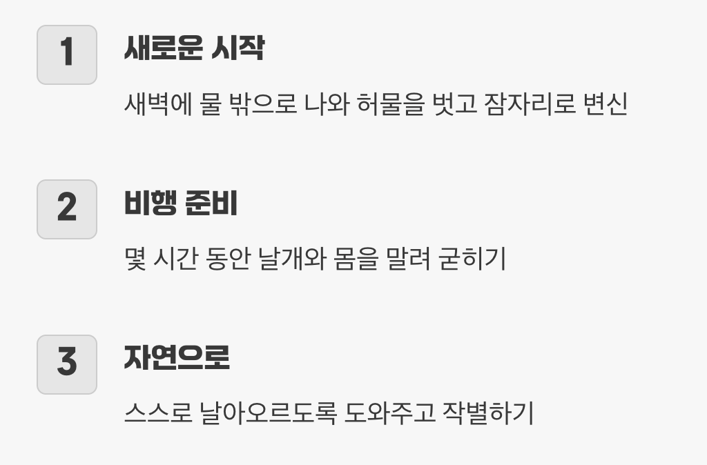 작별과 비행&amp;#44; 자연으로 돌려보내기