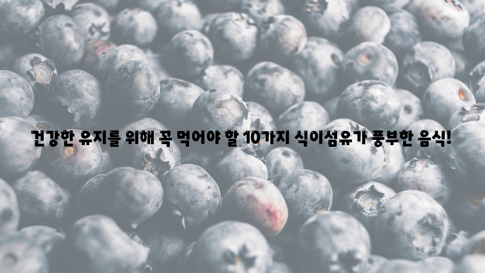 건강, 유지, 식이섬유