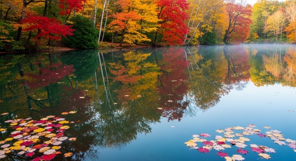 시라카와고 버스투어 완벽 가이드