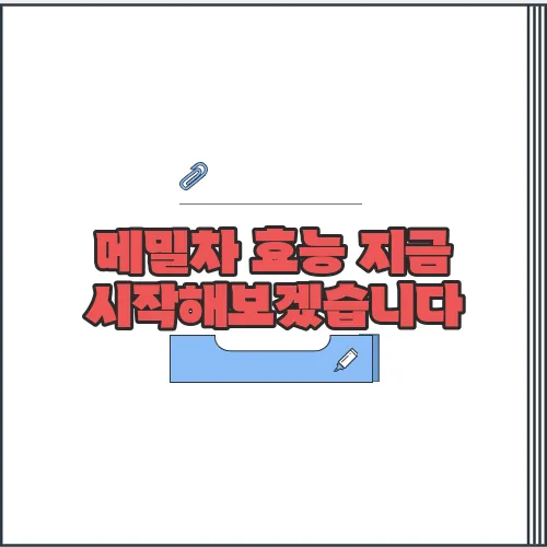 메밀차 효능 지금 시작해보겠습니다