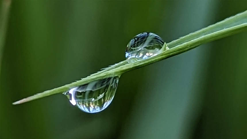 계절의 변화를 세분화한 24 절기 중 '백로' 이해하기