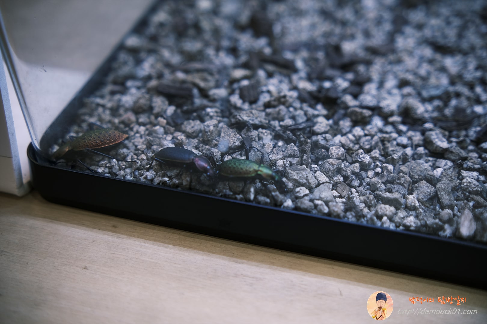 이름이 뭐더라?