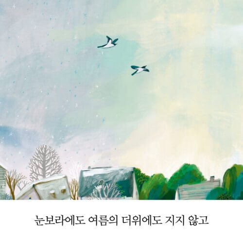 <비에도 지지 않고> 본문 삽화