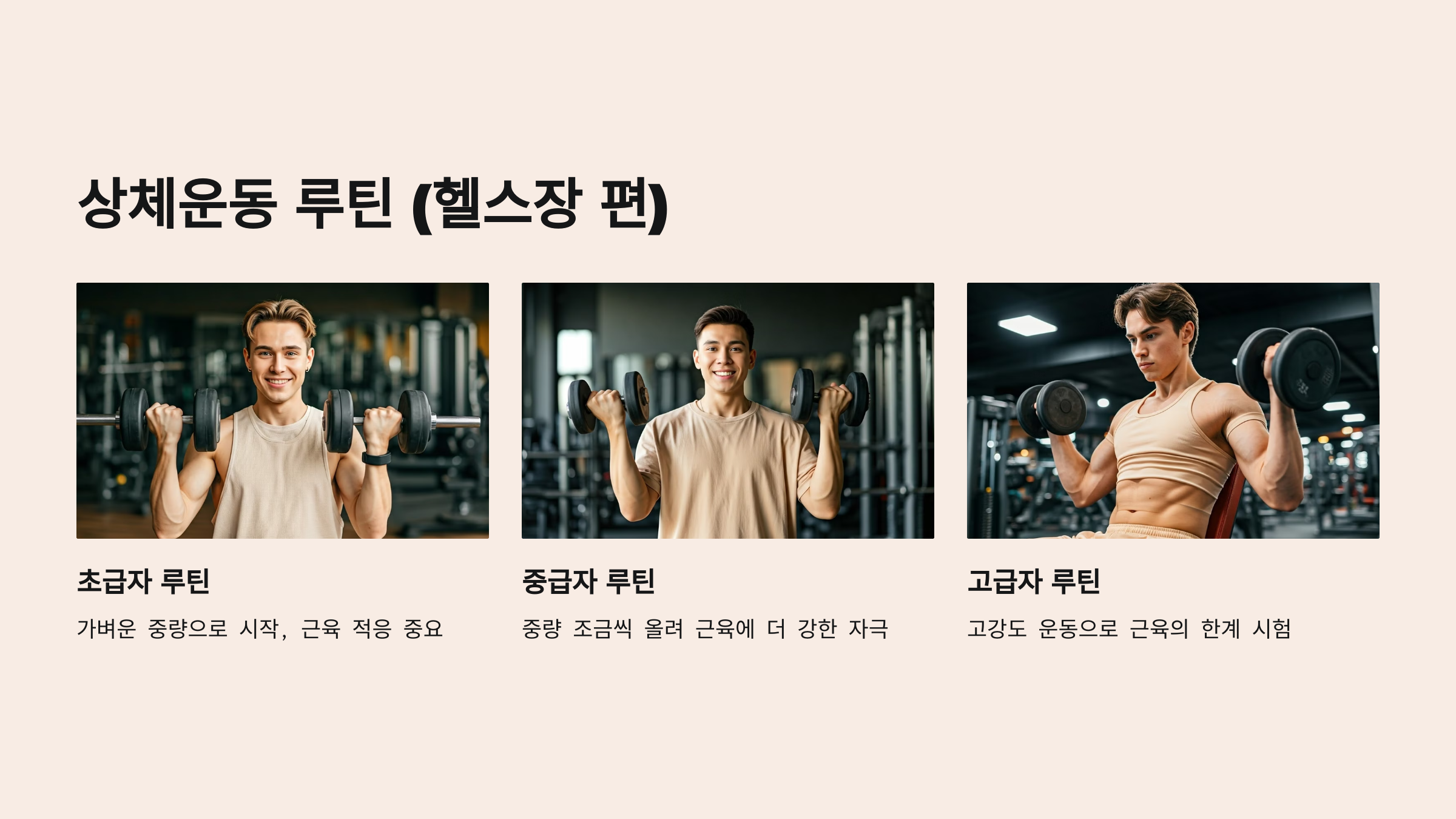 상체운동 헬스장 기구 운동루틴