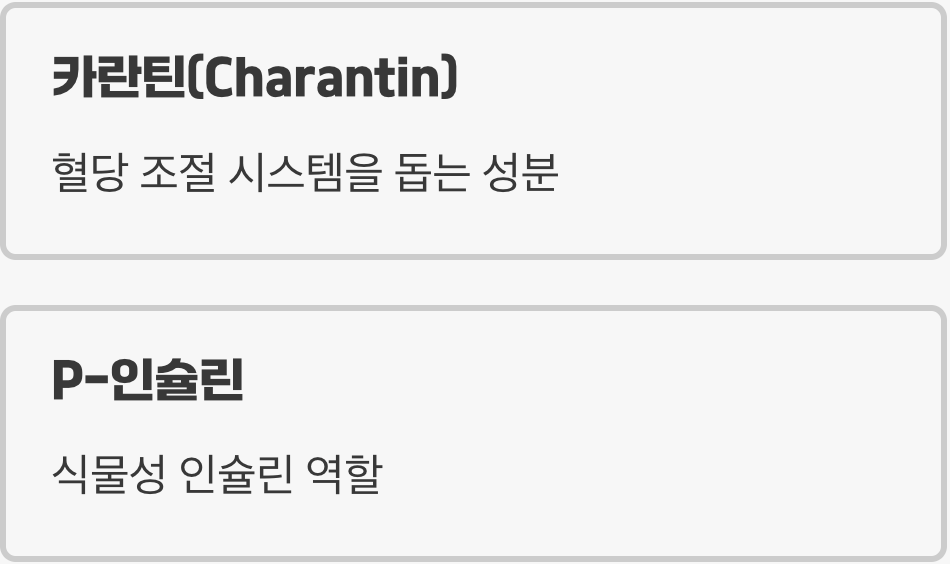 여주차 먹는법, '쓴맛'에 숨겨진 진짜 힘