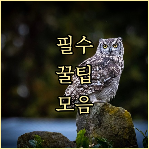 개봉동 쓰레기 배출 꼼수? 과태료 없..