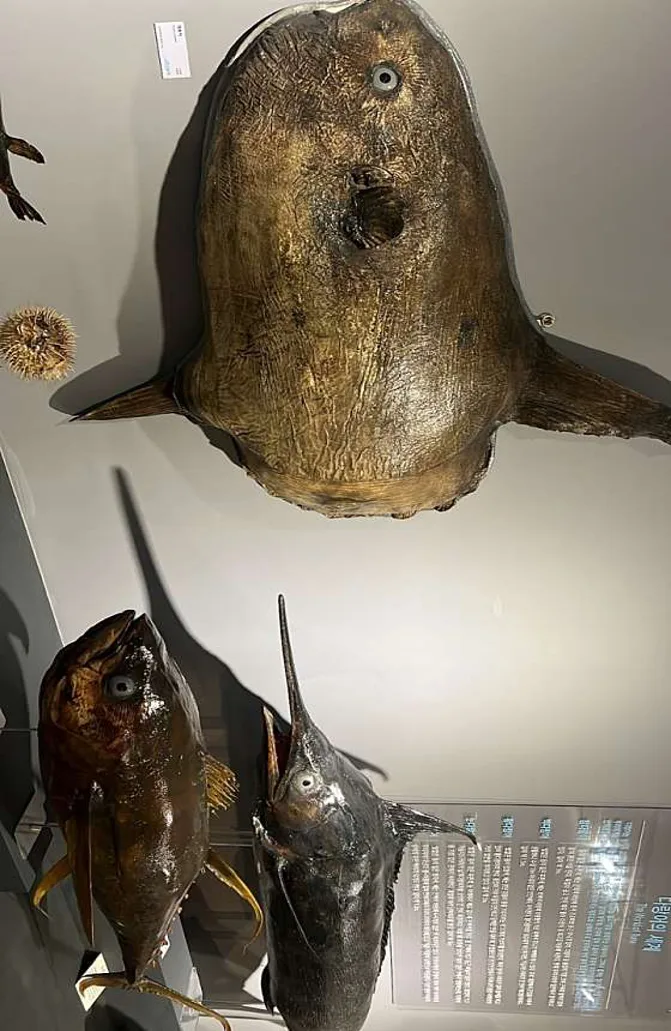 부경대학교 대연캠퍼스박물관