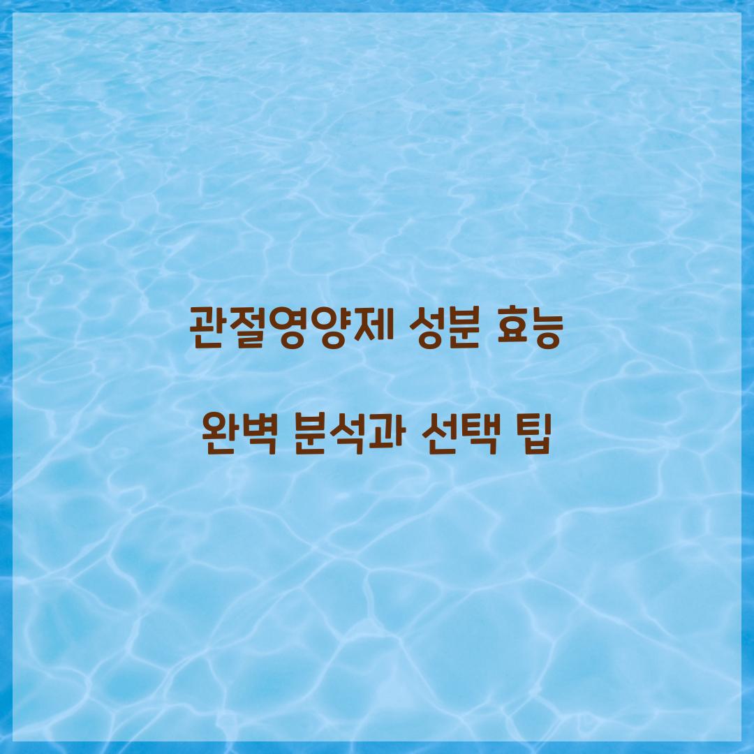 관절영양제 성분 효능