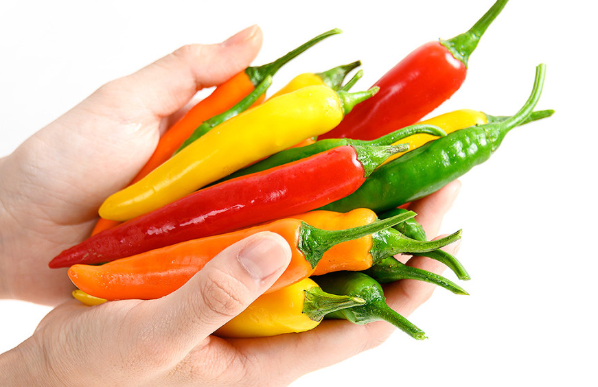 경남 진주 매운컬러 주문 방법