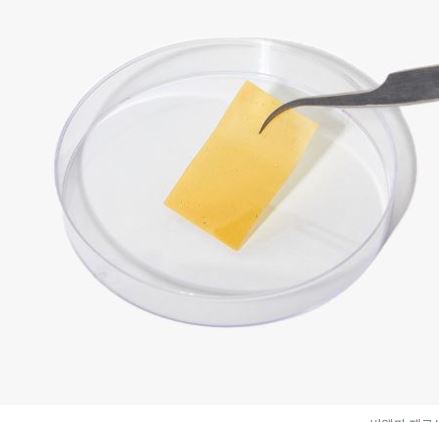 필름형-위고비-비엘피-제로셋