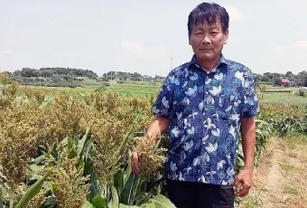 율무 재배 배수로 확보 여름 장마 대비 건조 수확_4