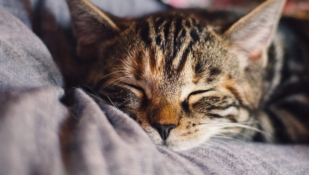 스트레스-야간-밤-잠-긴장