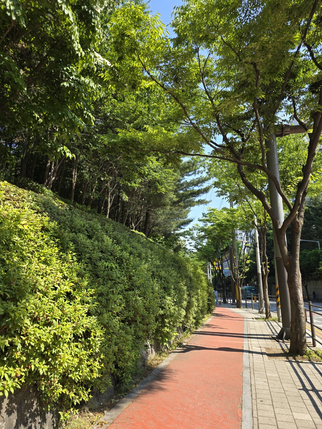 봉사때 만난 풍경