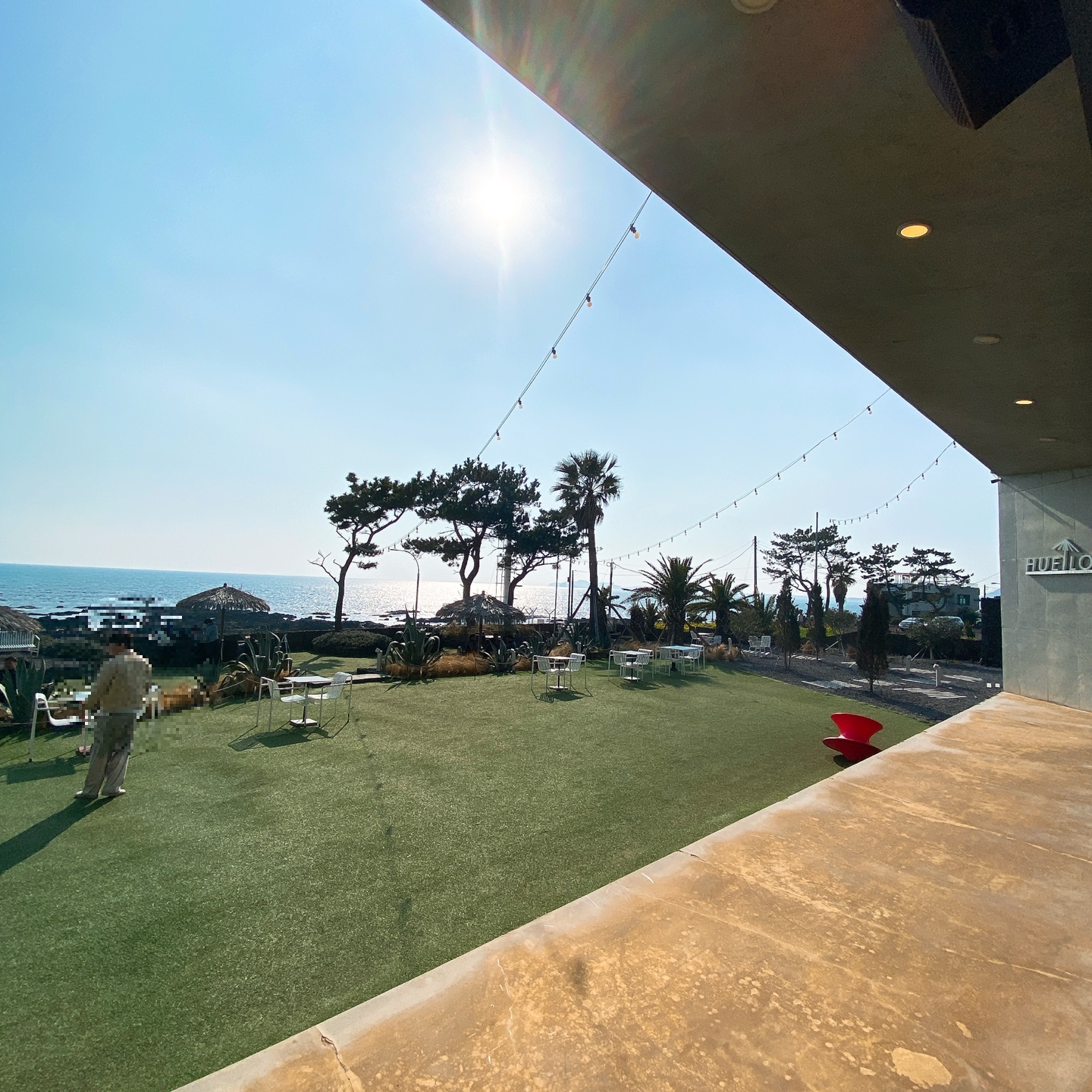 제주 안덕 유채꽃 포토존 오션뷰 카페 휴일로