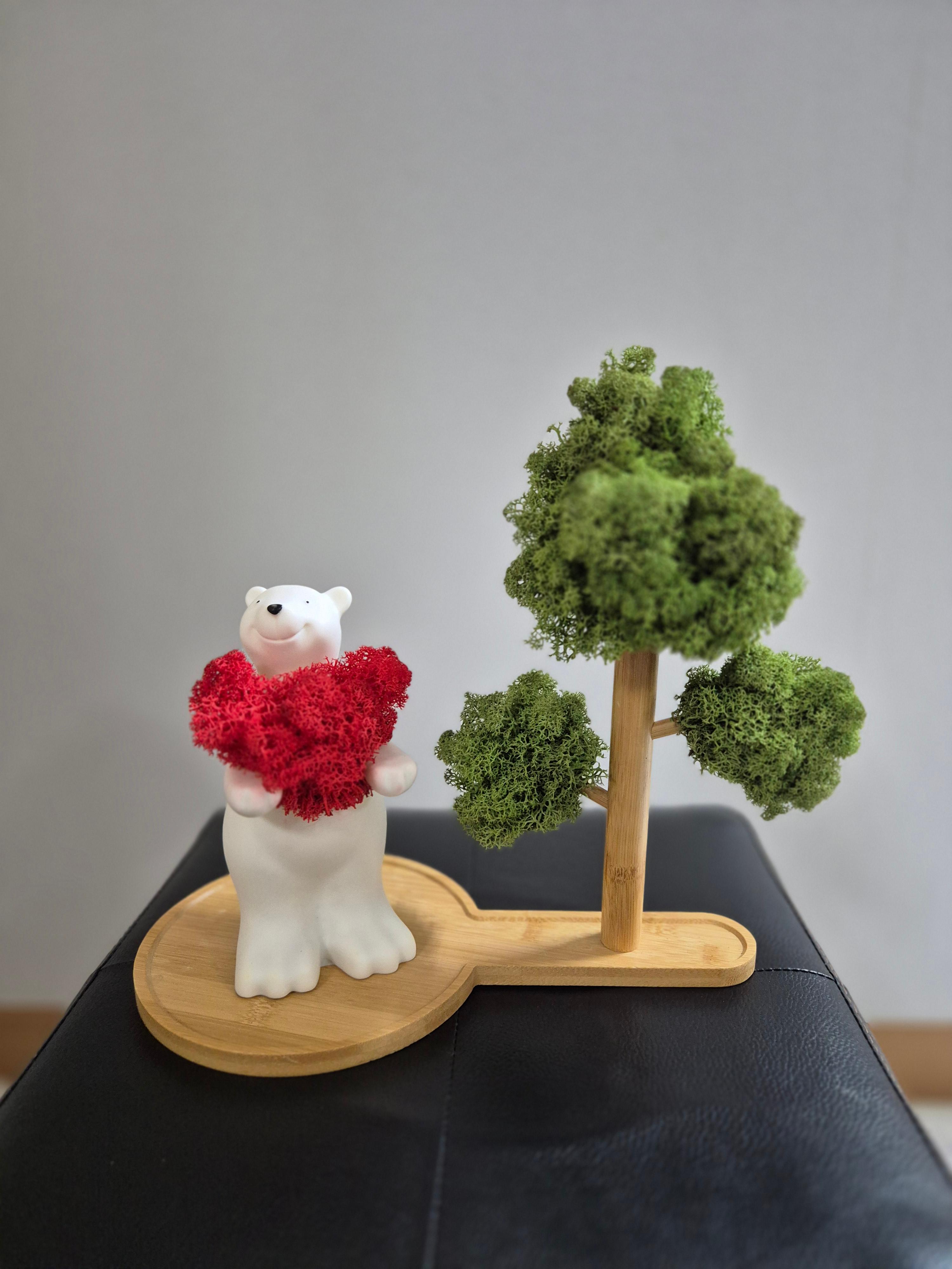 당진 포마이그린 꽃집&amp;#44; 화분&amp;#44; 꽃&amp;#44; 테라리움&amp;#44; 스칸디어모스 - 솔뫼성지 로컬푸드 입점&amp;#44; 테라리움수업&amp;#44; 꽃수업