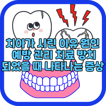 치아가 시린 이유 원인 예방 관리 치료 방치되었을 때 나타나는 증상