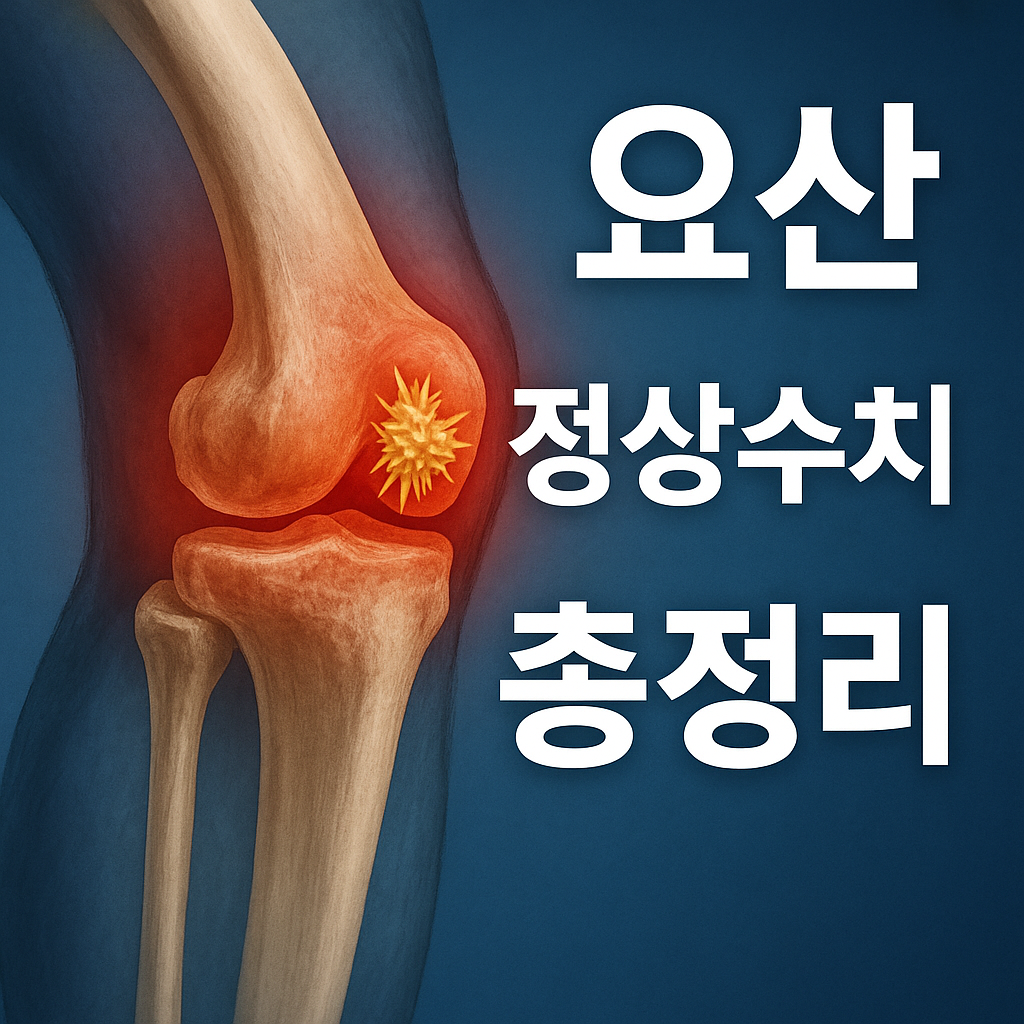 통풍 요산 정상수치 완벽 가이드 남녀별 정상 기준과 관리법 총정리