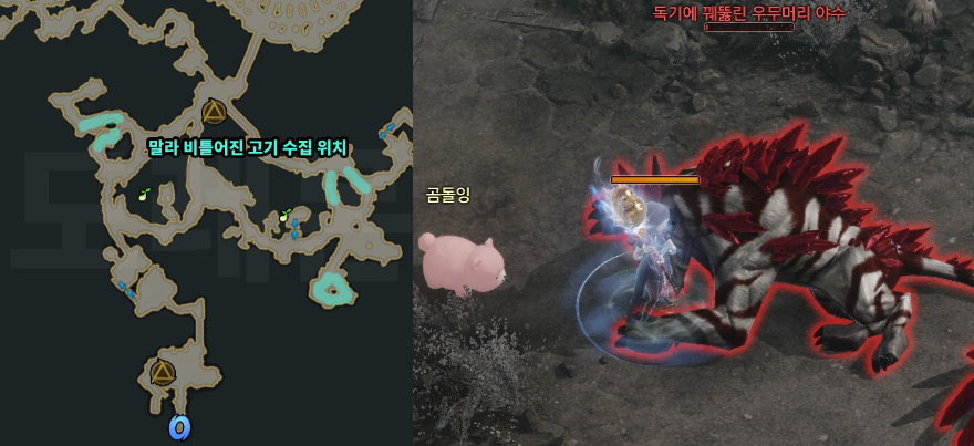 말라 비틀어진 고기 수집 위치