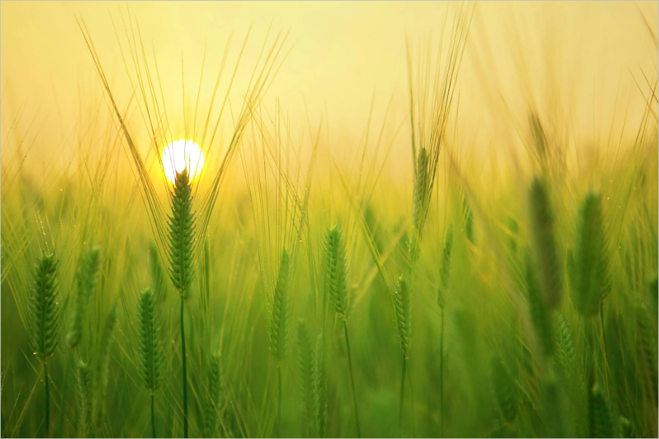 챗gpt 사용방법 총정리 &ndash; 5분만에 마스터! 실전 활용법