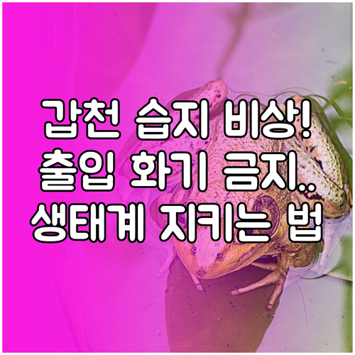 생태계 훼손 방지 갑천호수공원 습지 ..